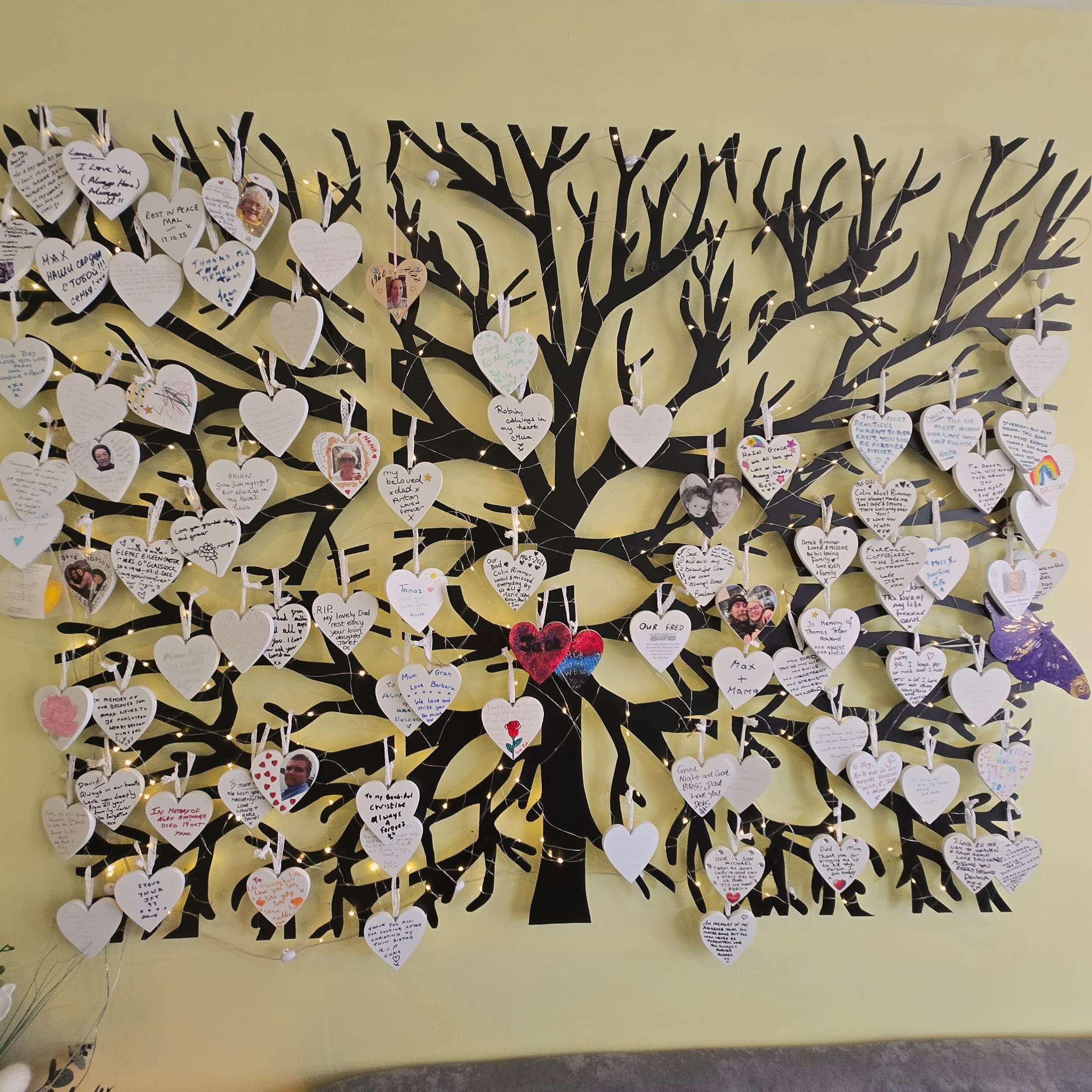 WhatsApp Image 2026-03-25 at 15.37.09 (2)